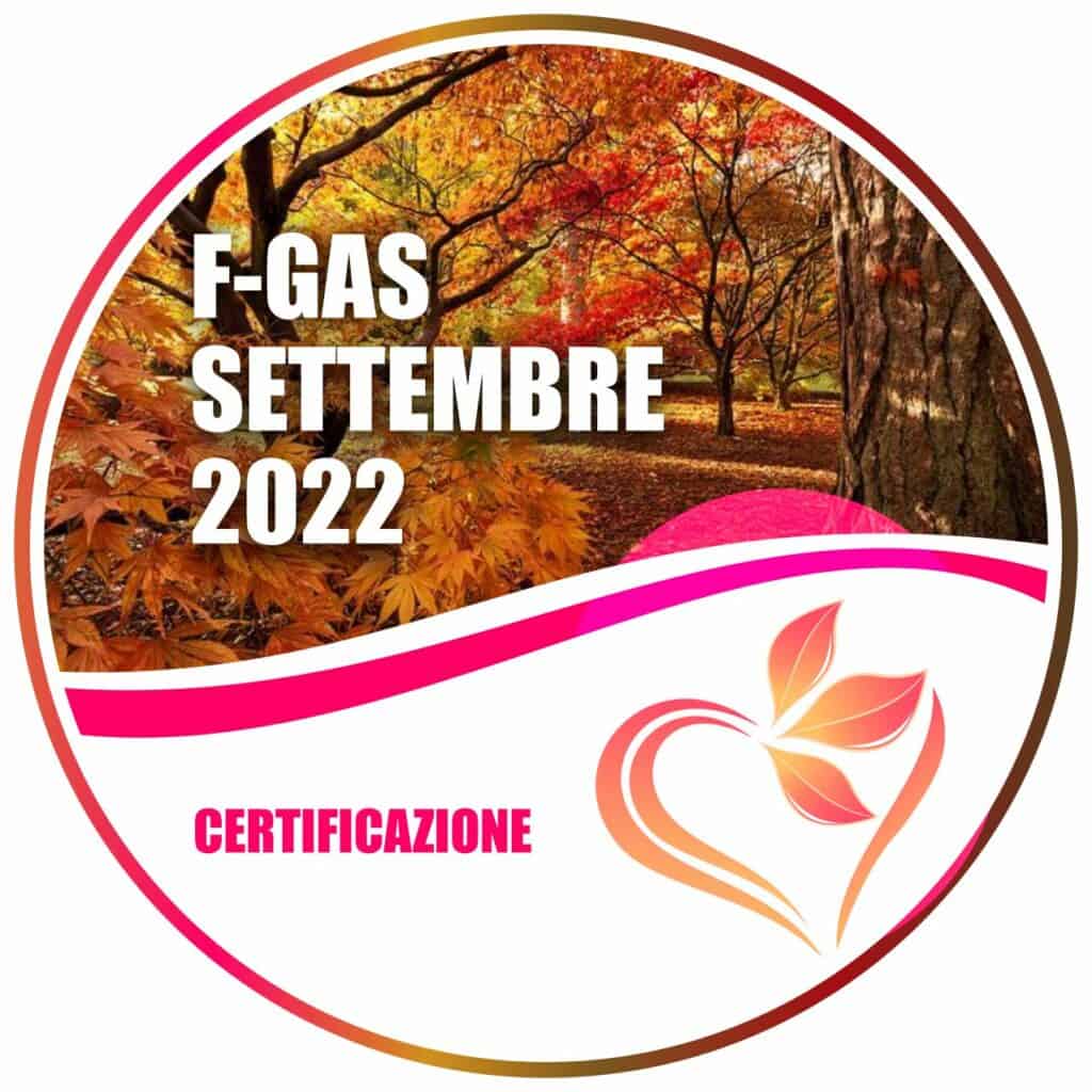 F-Gas Corso di Settembre 2022 | Elettrogruppo ZeroUno | Beinasco | To |settembre corso autunno