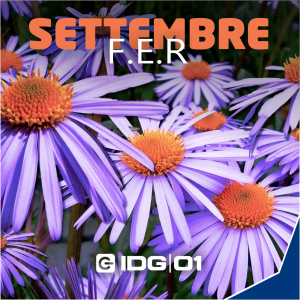 Corso F.E.R. 10-11 Settembre 2025 | IDG 01 | TORINO | TO |beinasco_fer immagine cover